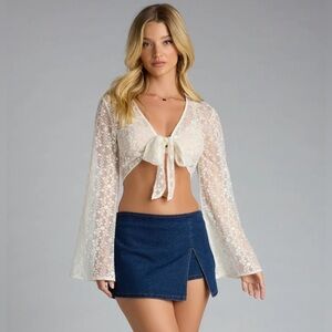 Cider Pale Pink Sheer Lace Crop Top